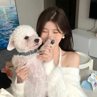 独行月球海报
