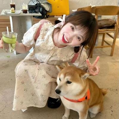 我是只小小鸟海报